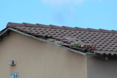 Klagtes oor Rosedale se huise